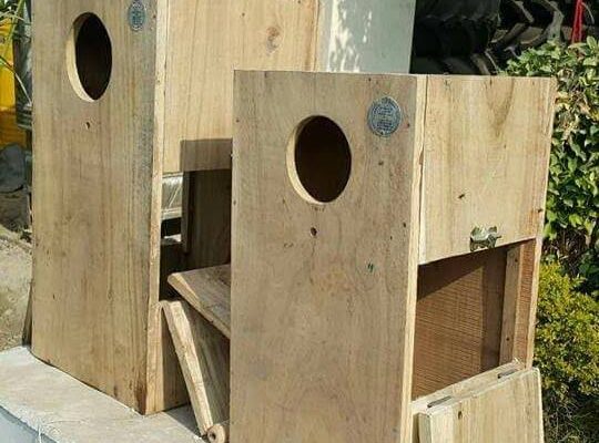 WhatsApp Image 2022-03-21 at 5.00.45 PM