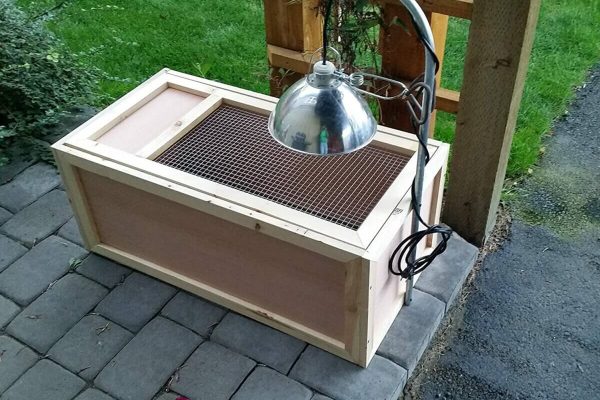 wood-brooder-box-1200x900